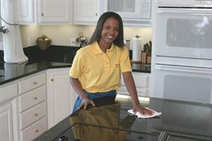 Maids_wiping_counters